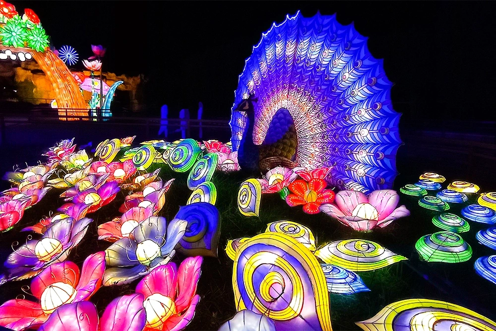 citi glow park gallery
